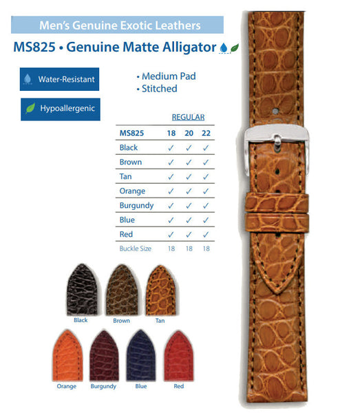 Hadley Roma Alligator Watch Band MS825